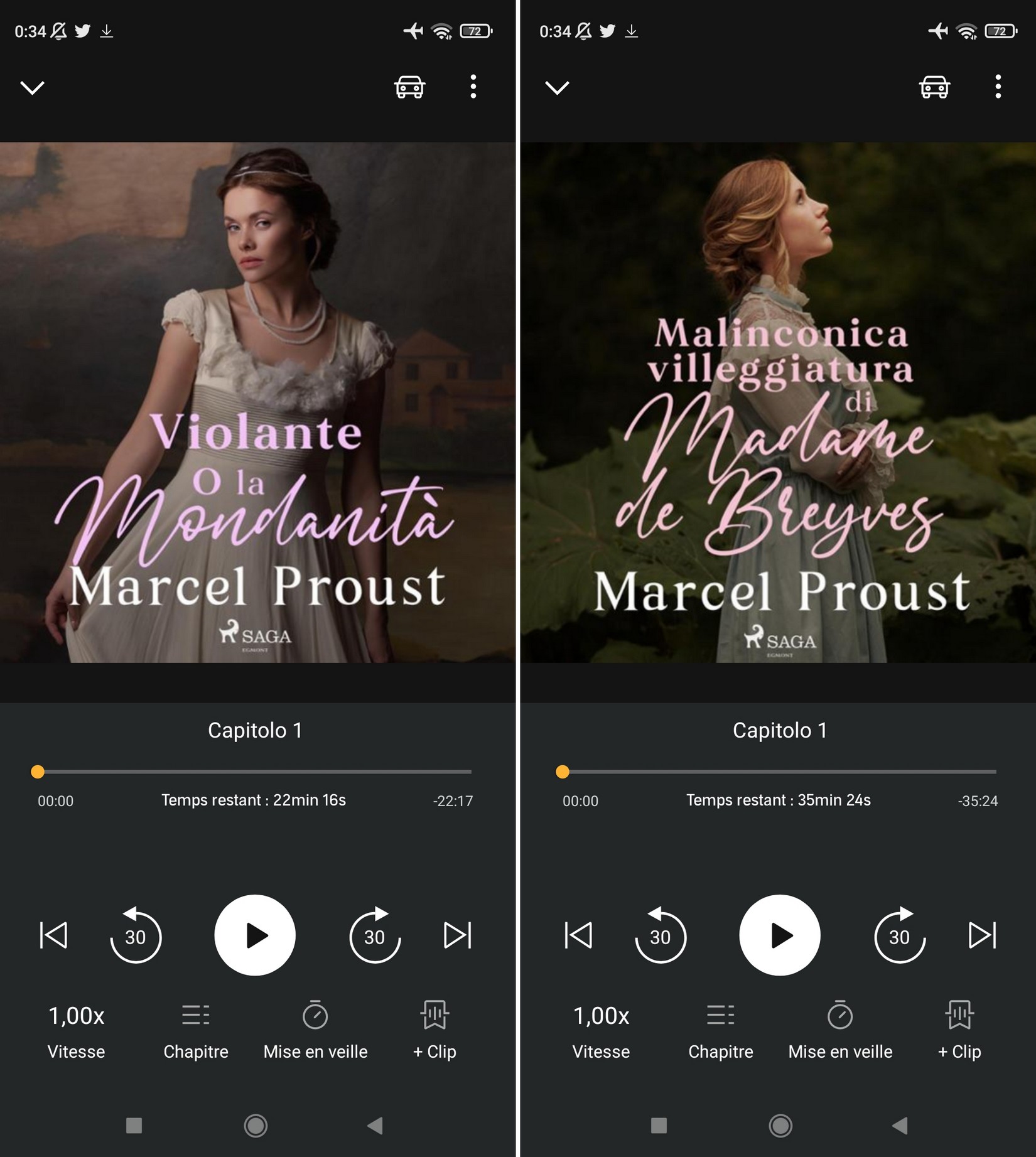 Marcel Proust. Letto da Liliana Bottone. I piaceri e i giorni (Audio)